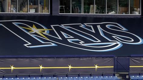 Napa gambler pleads guilty to threatening Tampa Bay Rays players.